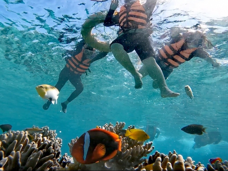pic