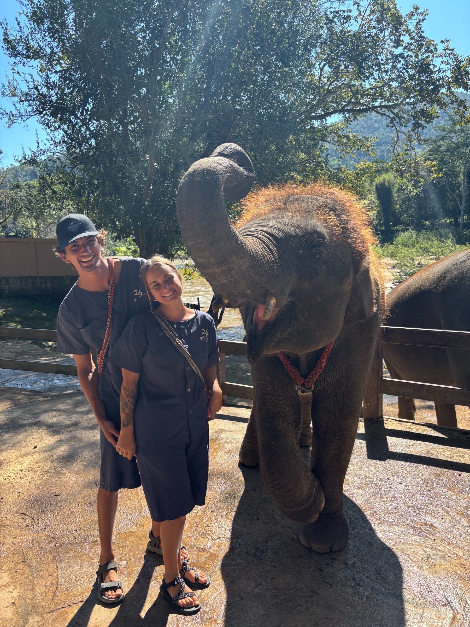 pic