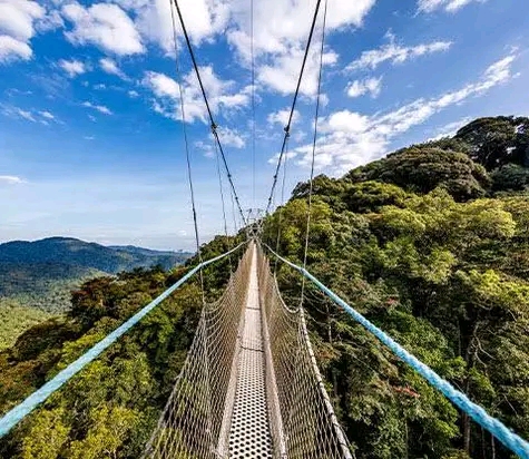 pic