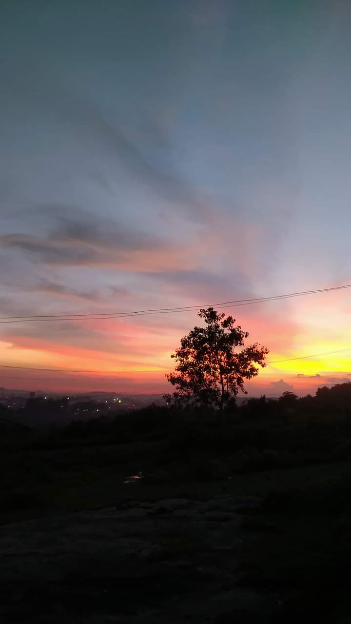 pic