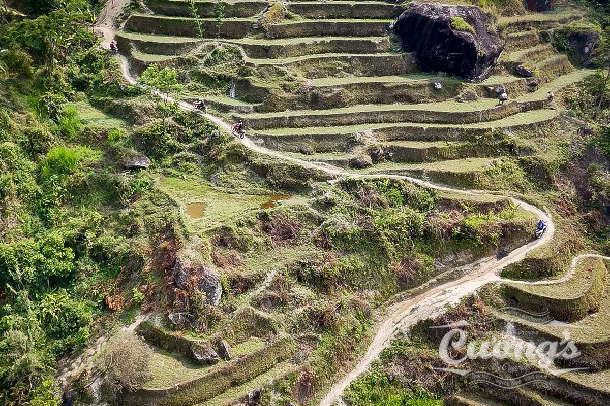 pic