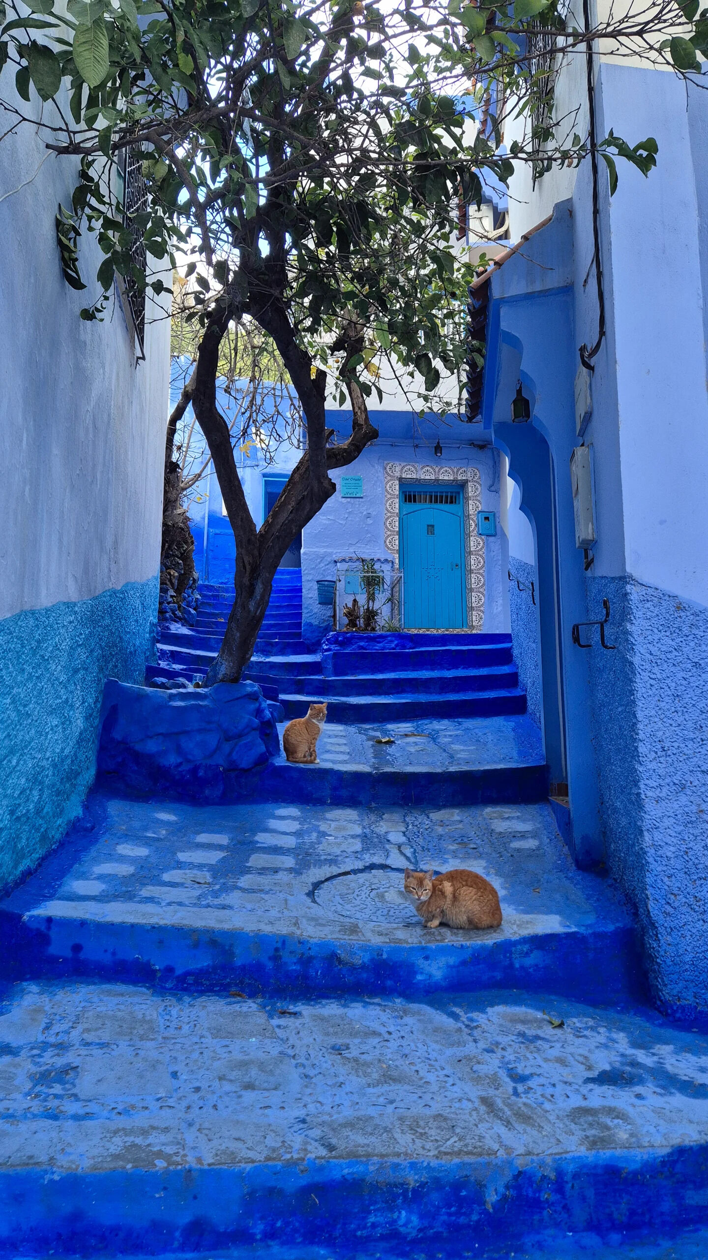 pic