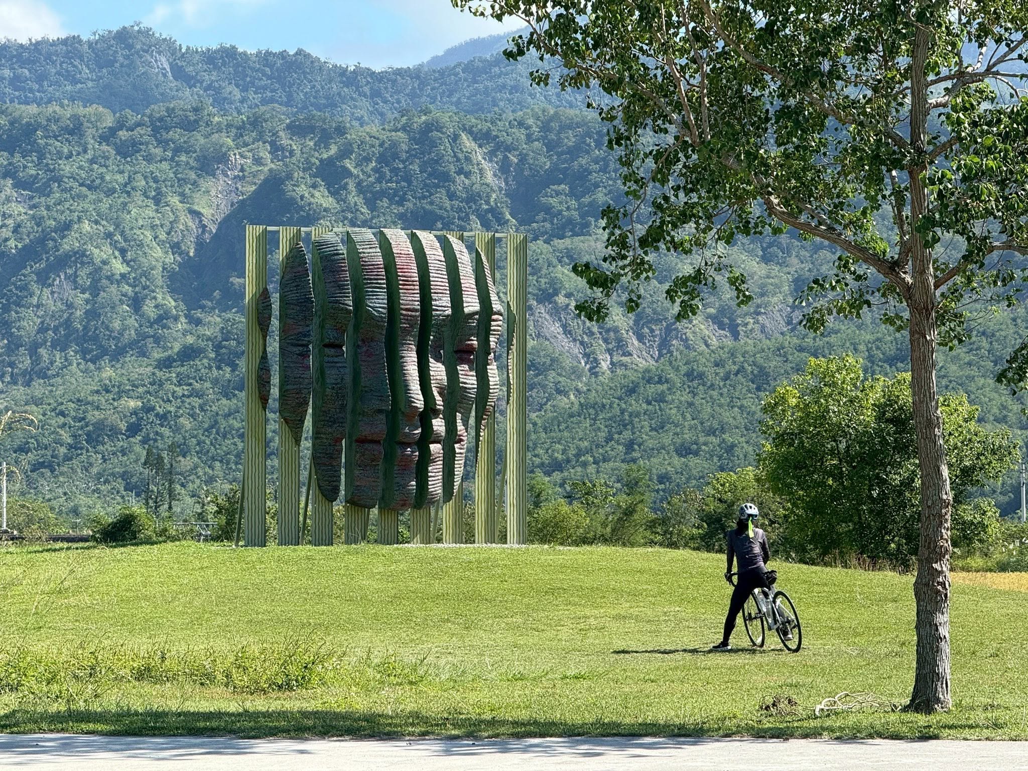 pic