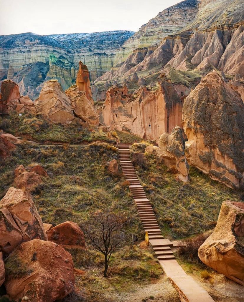 pic