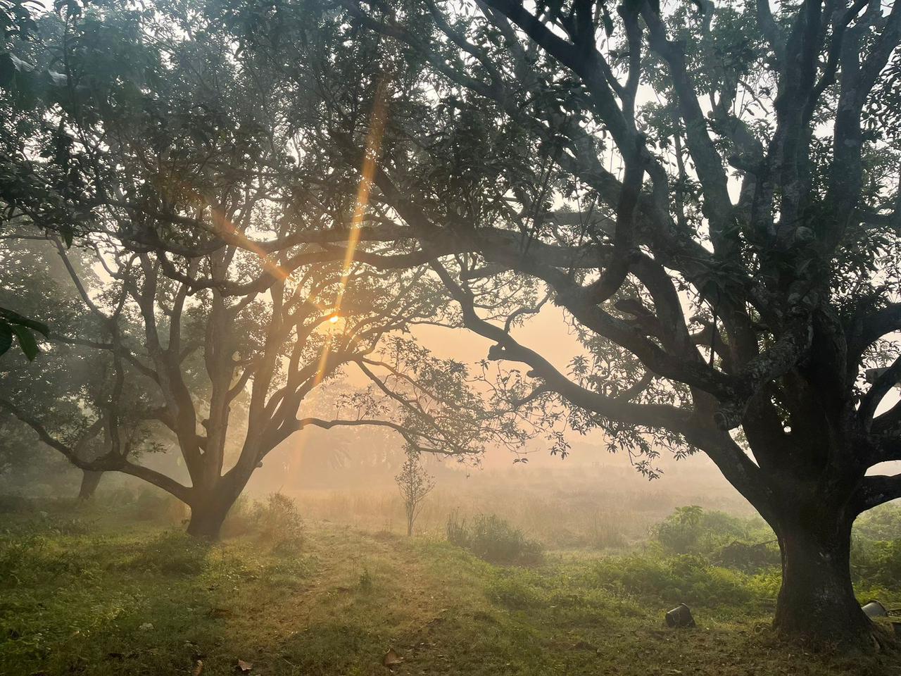 pic