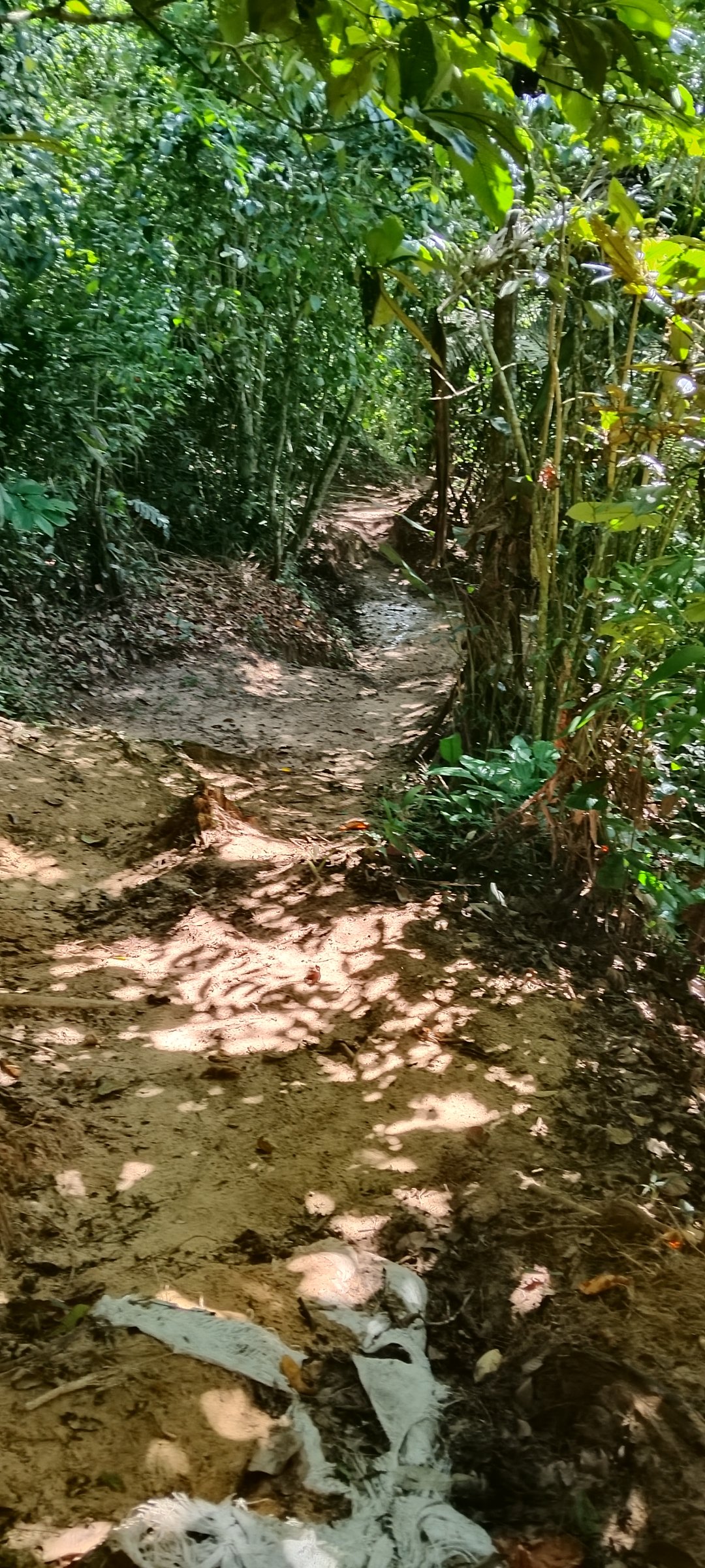 pic