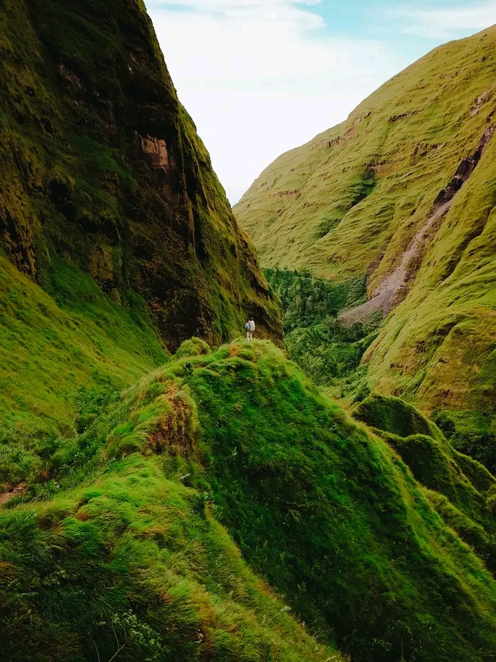 pic