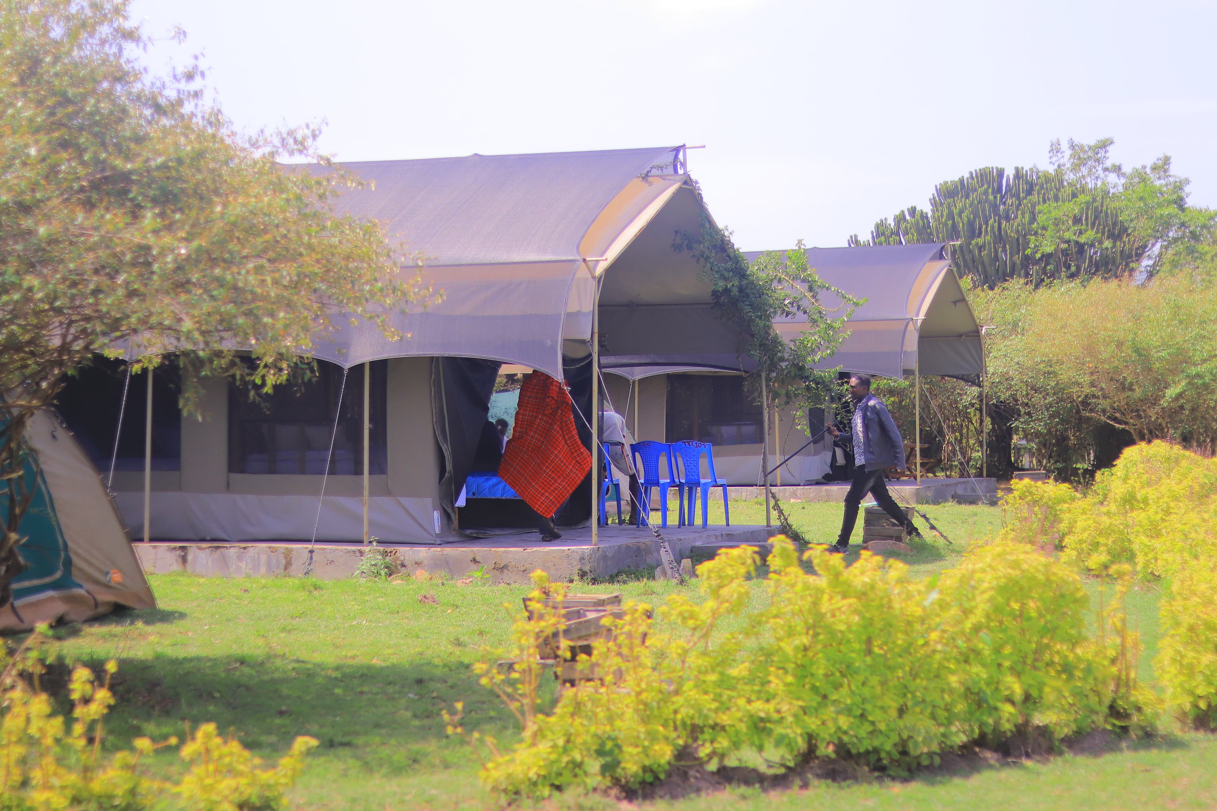 pic