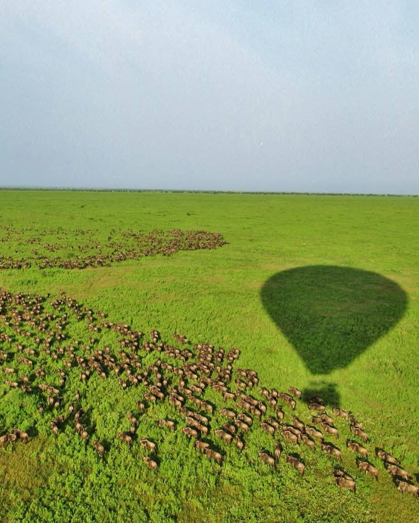 pic