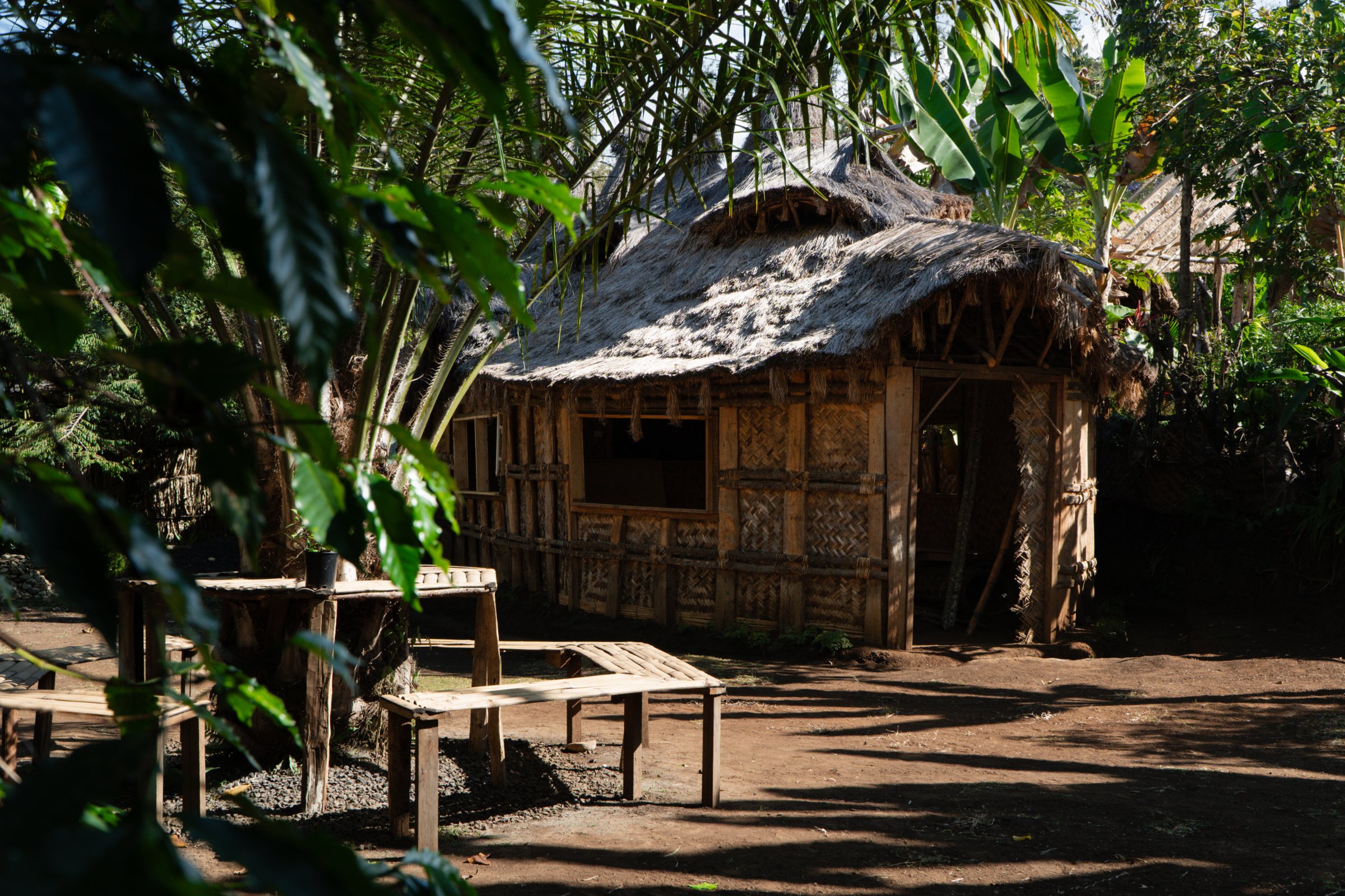 pic