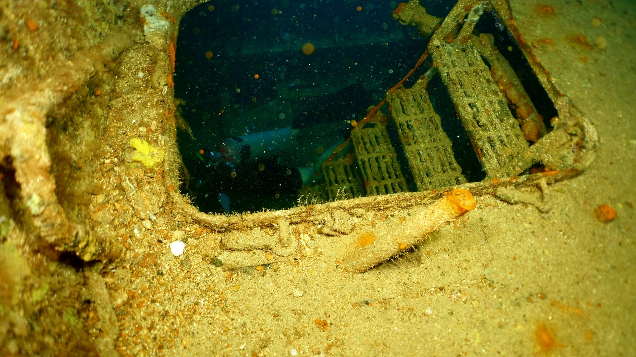 pic