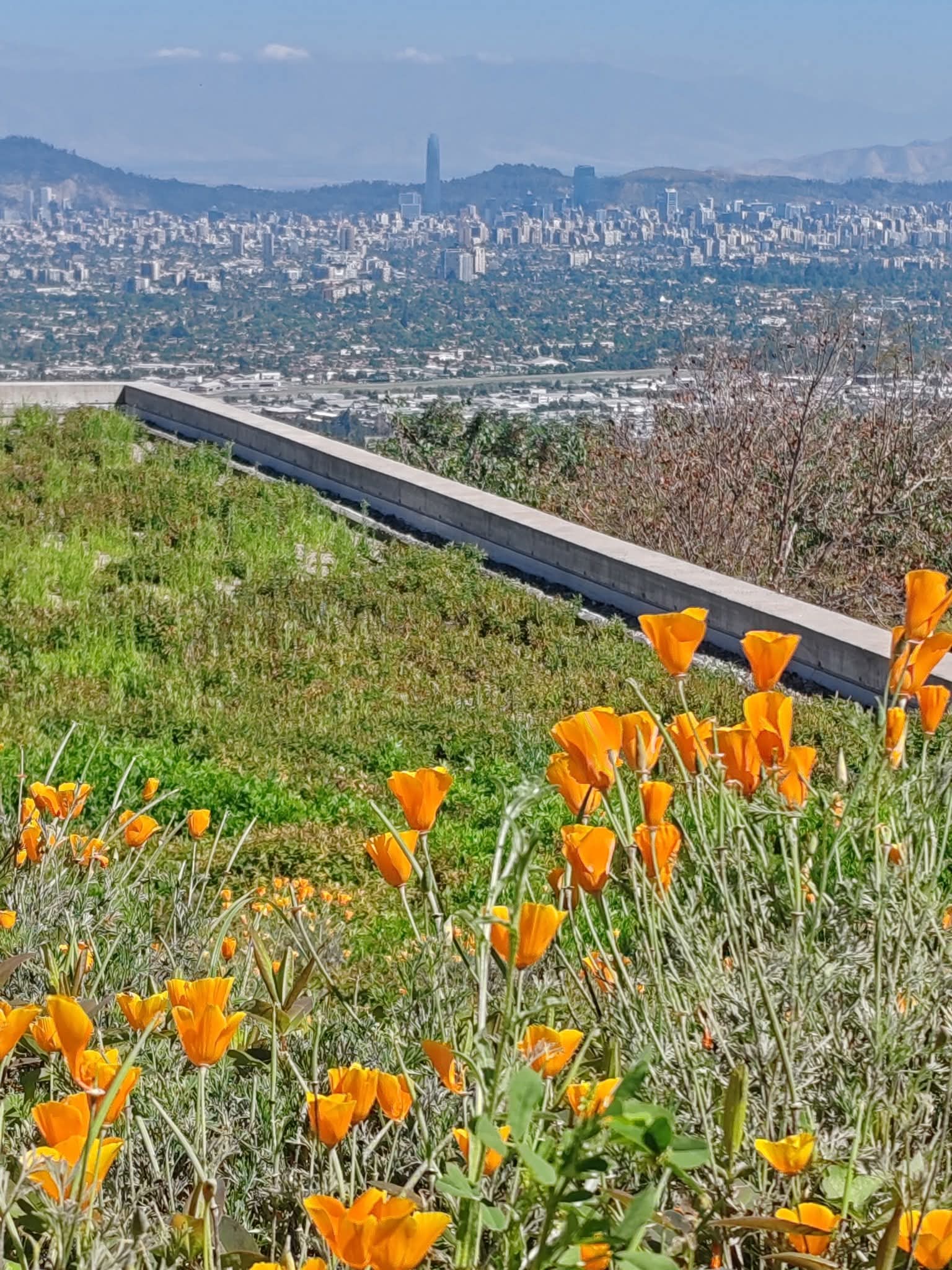 pic