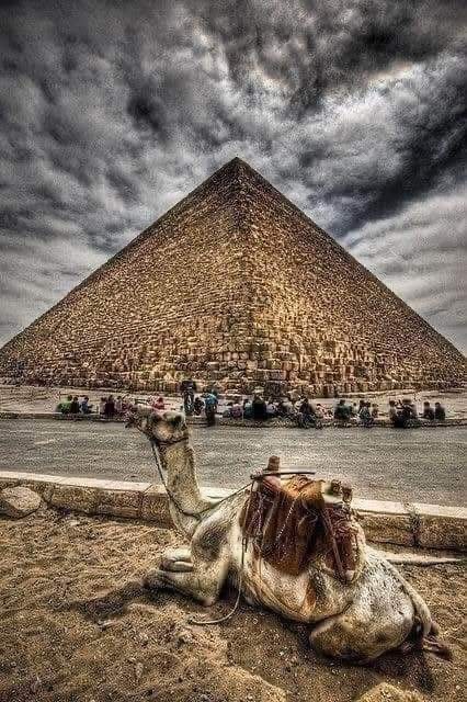 pic