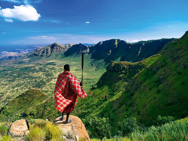 Priority Wild Safaris and Tours
