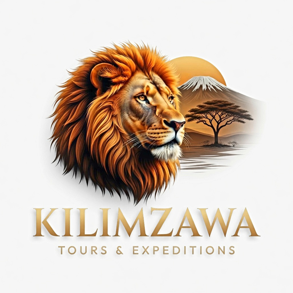 KiliMzwa Tours & Expeditions