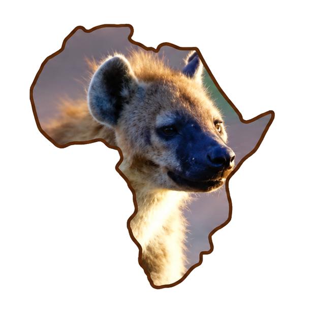 Mbiti Africa Safaris