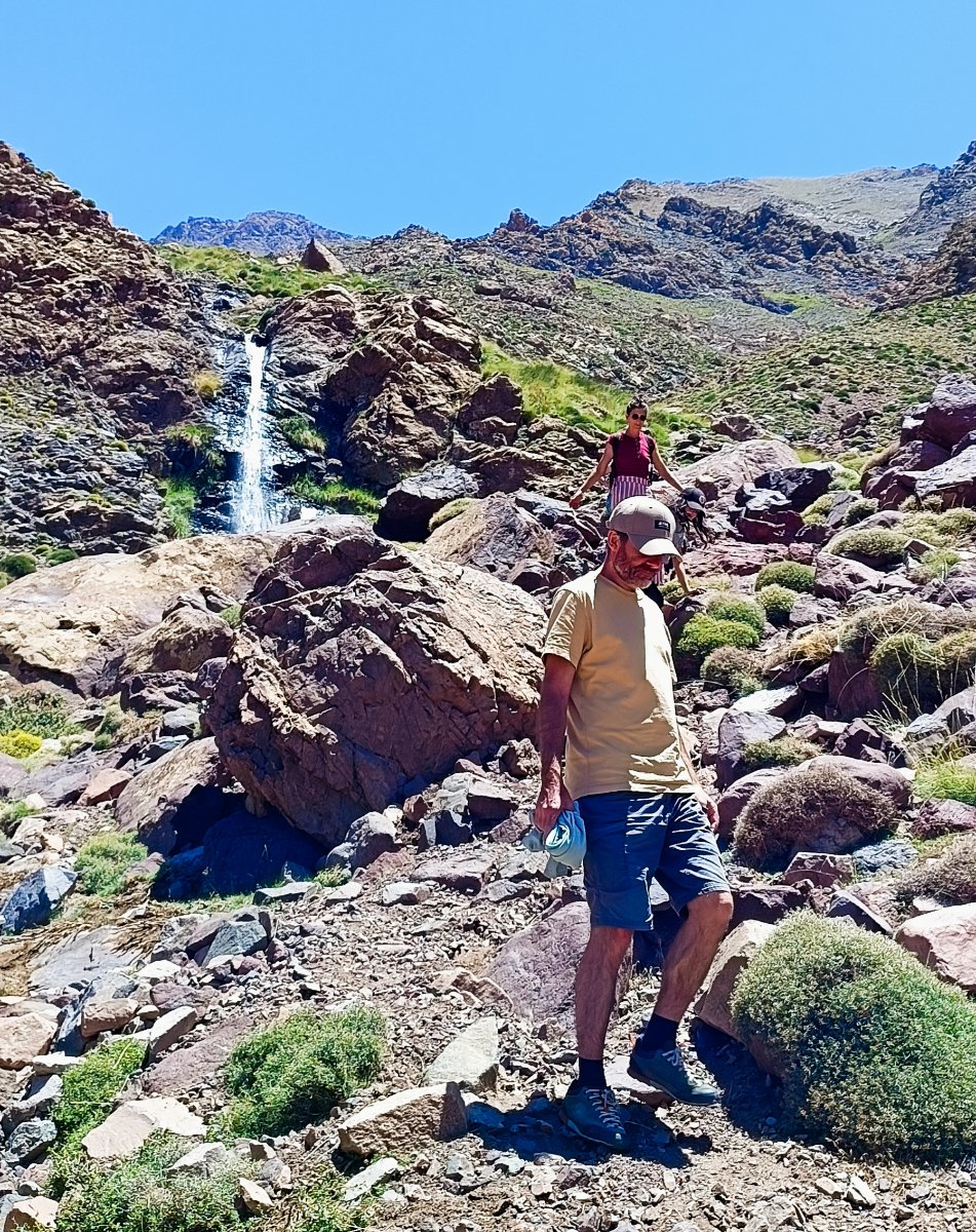 Local guide