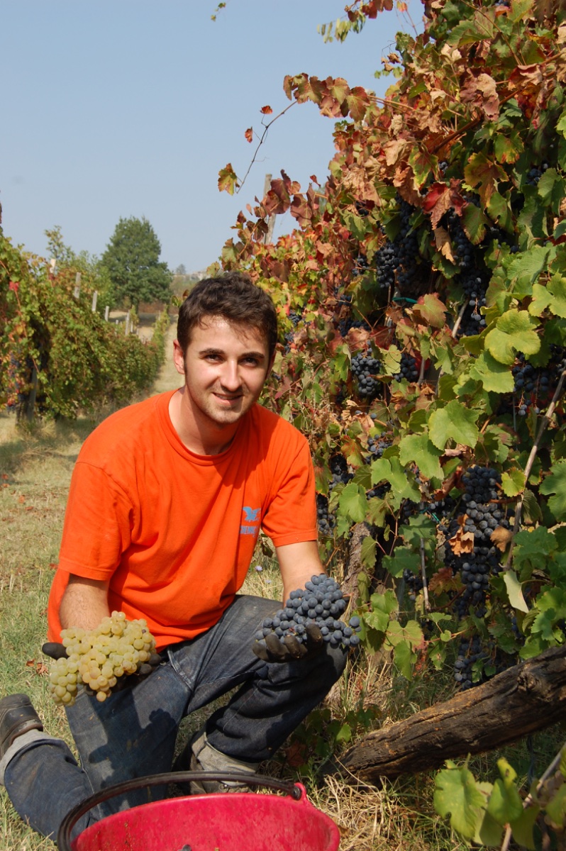 Marcello Cavedoni