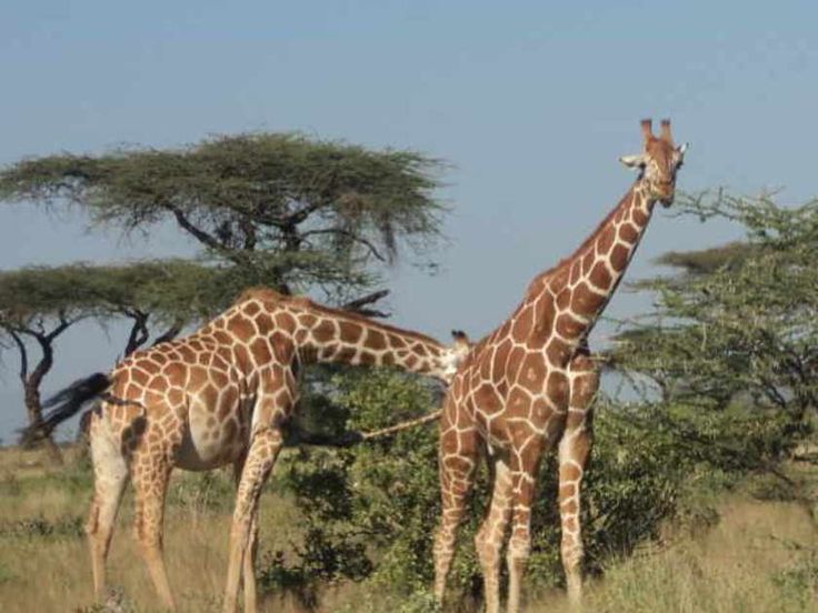 Nairobi Magical Tours