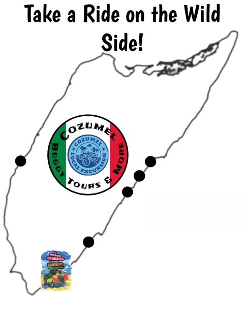 Cozumel Buggy Tours and More