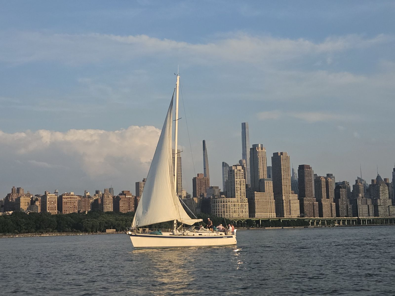 Concrete Jungle Cruises