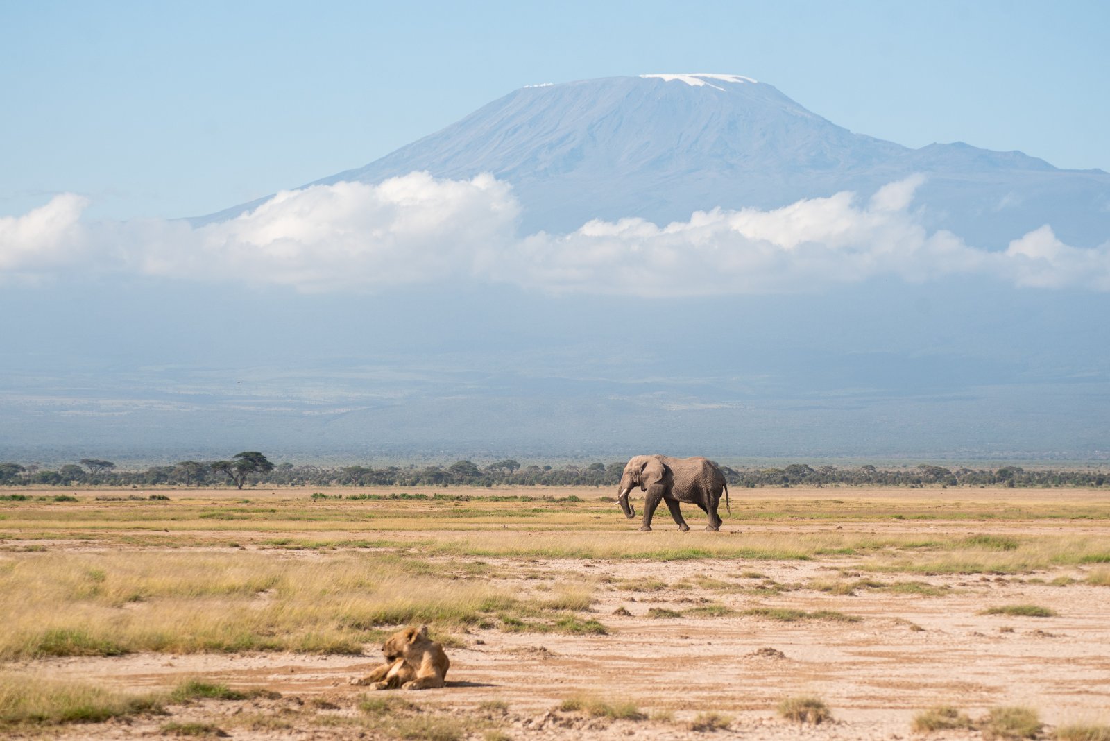 6-Day Kenya and Tanzania Wildlife Safari
