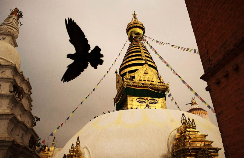 Monkey Temple