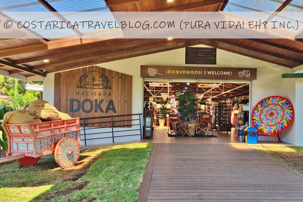 Doka Coffee plantación