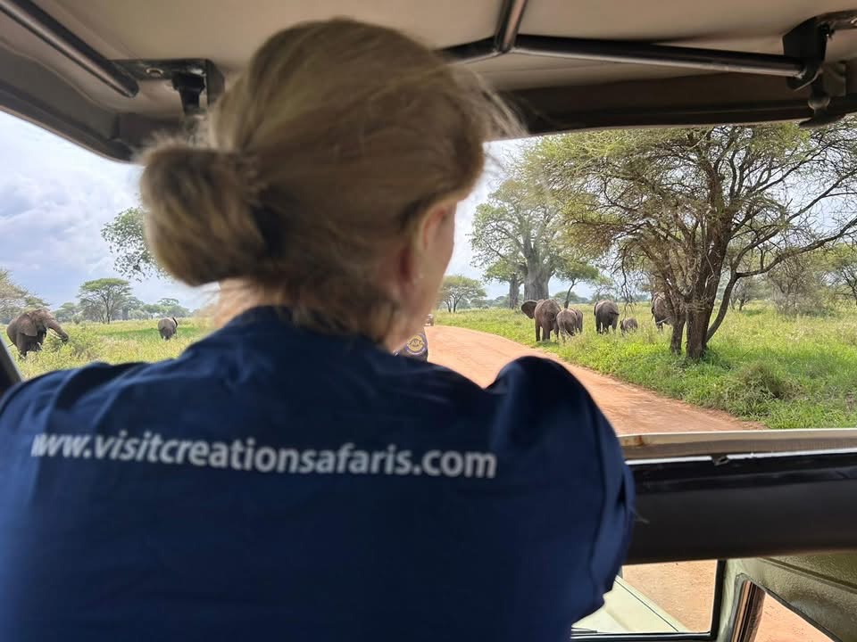 4-Day Midrange Honeymoon & Anniversary Safari