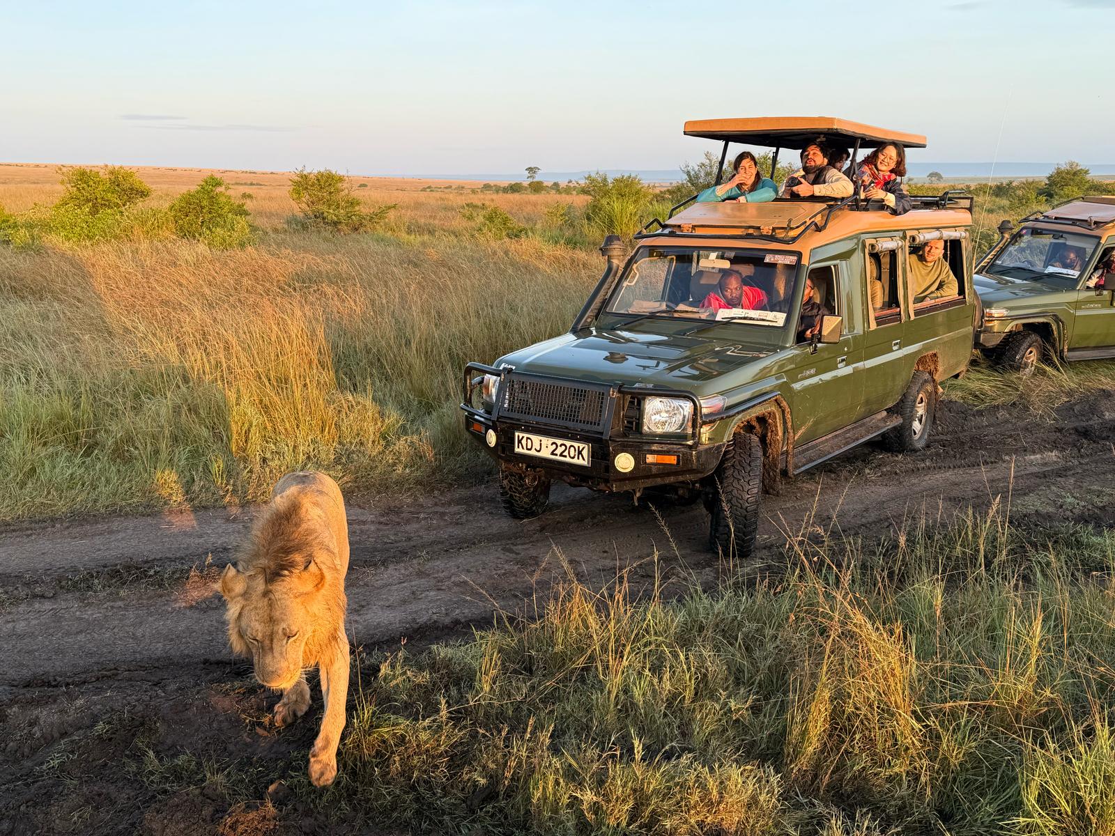 4-Day Masai Mara and Lake Nakuru Joining Tour