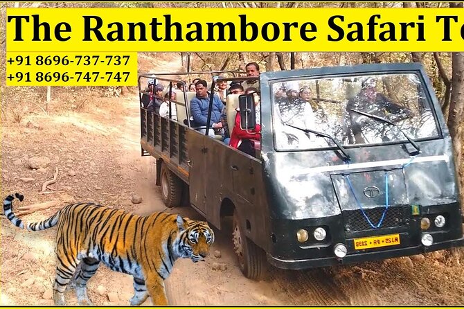 Ranthambore National Park Canter Safari