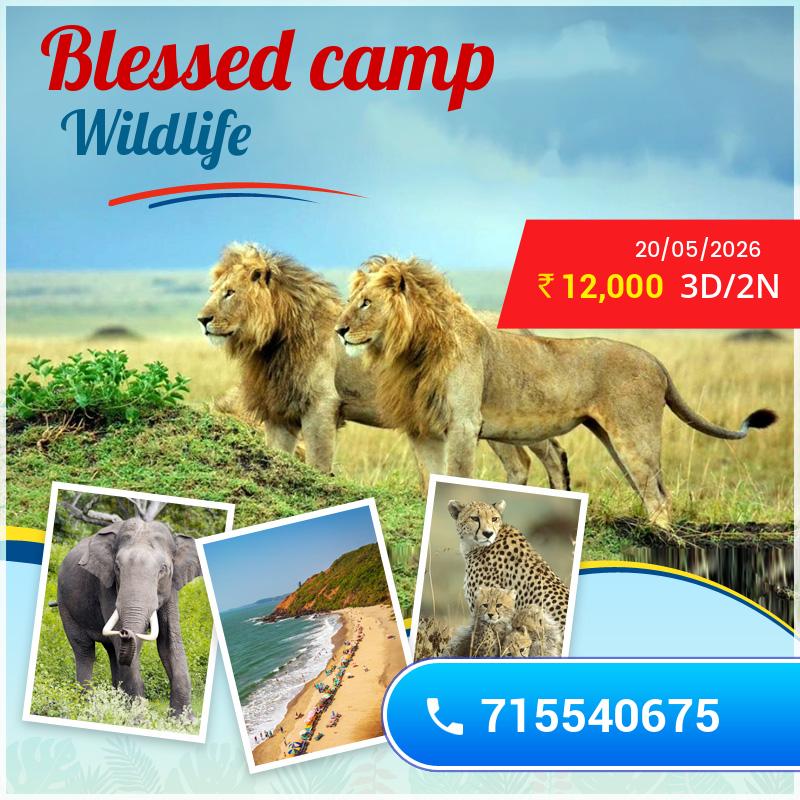 Wildlife safari tour