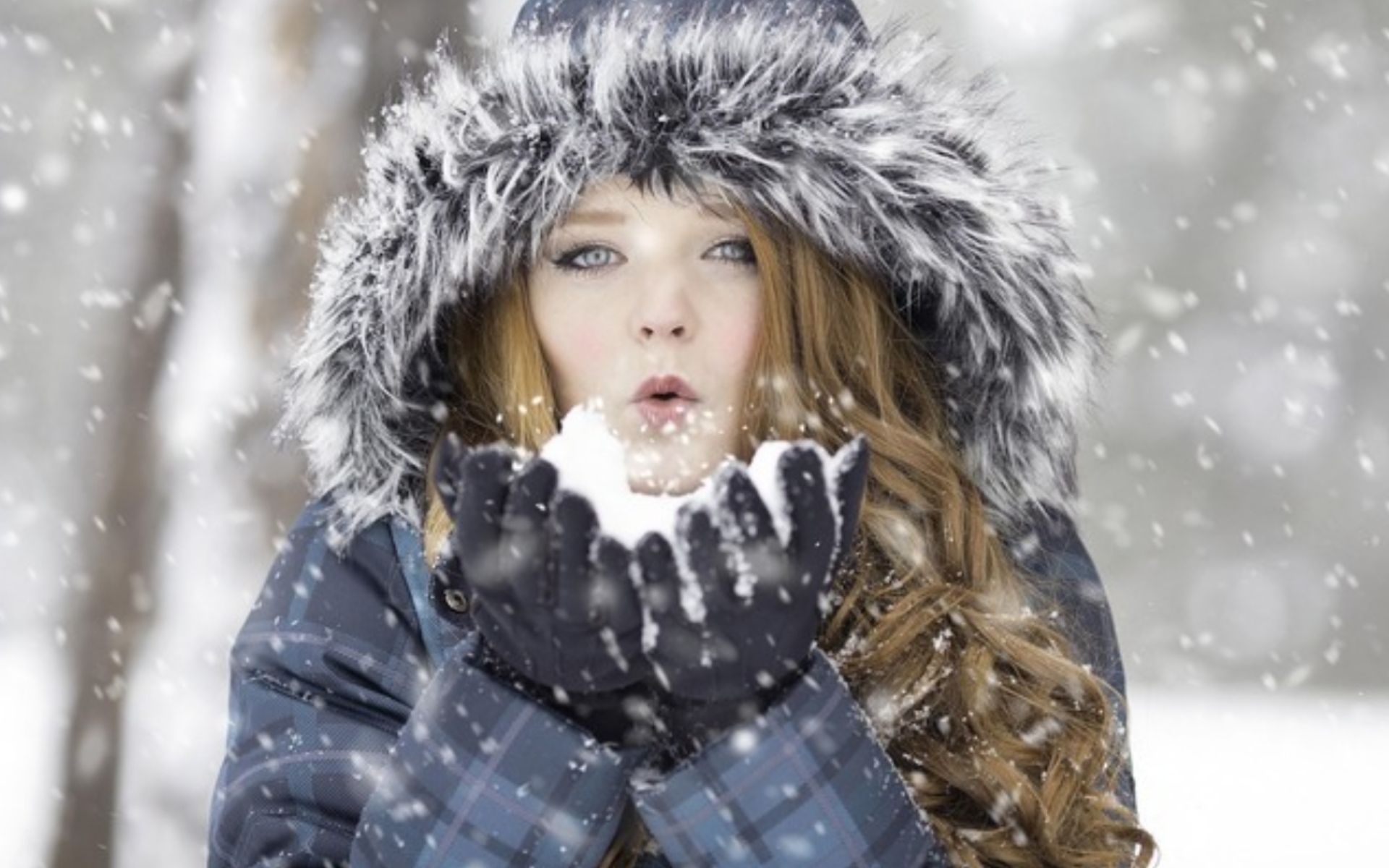 The Signature Winter Enclave