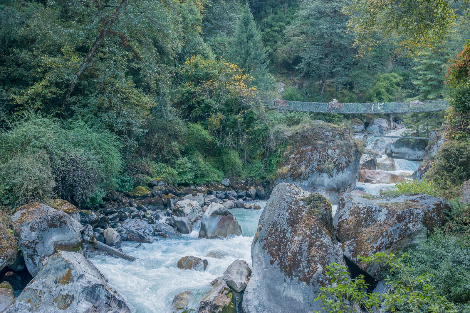 Manaslu Circuit trek