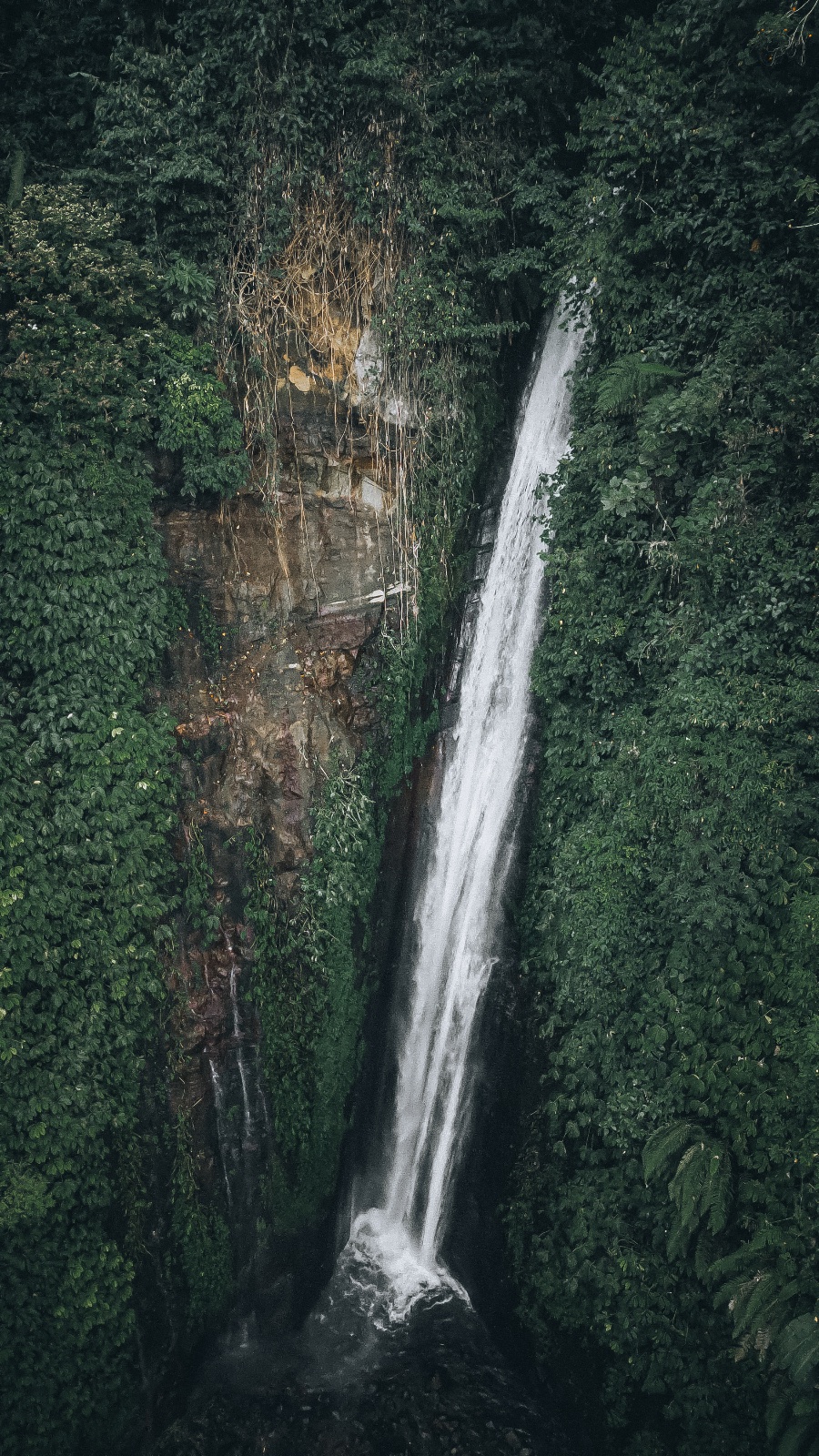 Waterfalls to Rice-field Trek