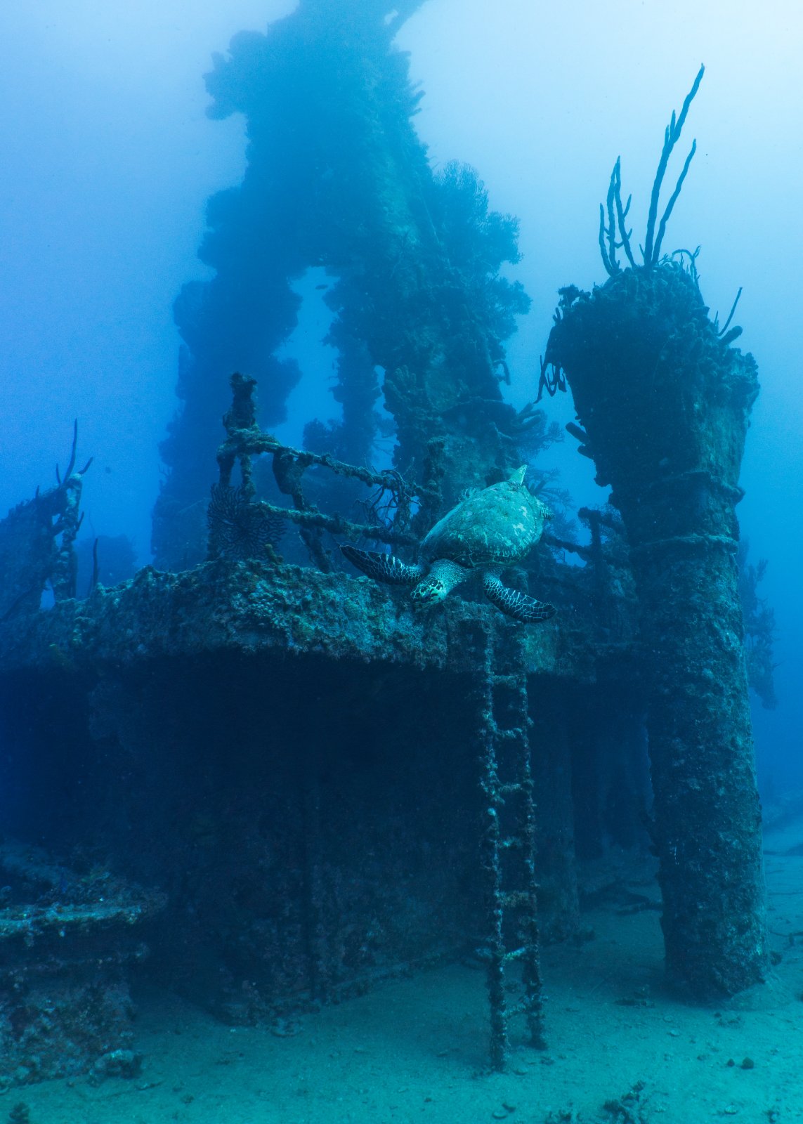 Dive Packages