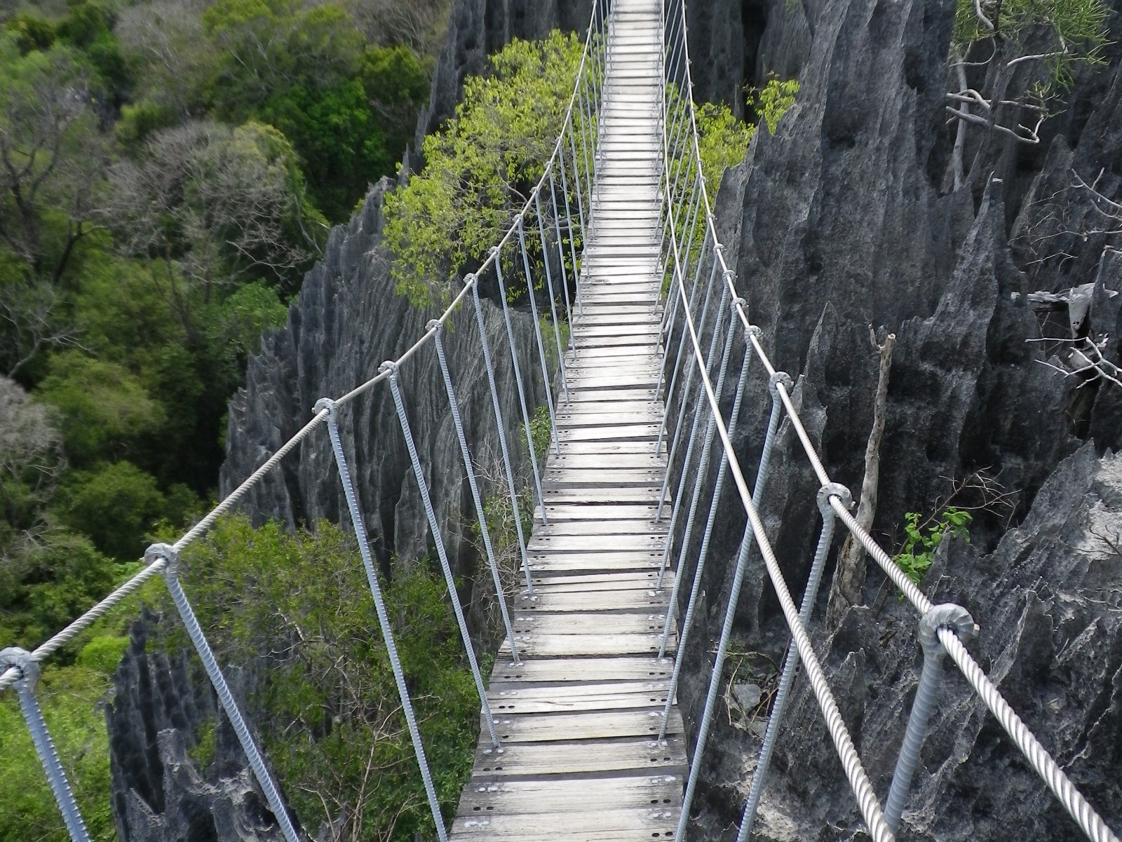 Madagascar Stoneforest