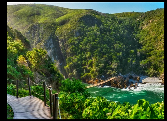 Winelands & Garden Route