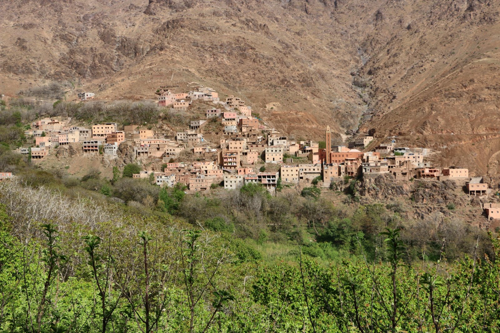 https://www.mountainsaharatreks.com/img/treks/berber-villages-tachdirt-timichi/3