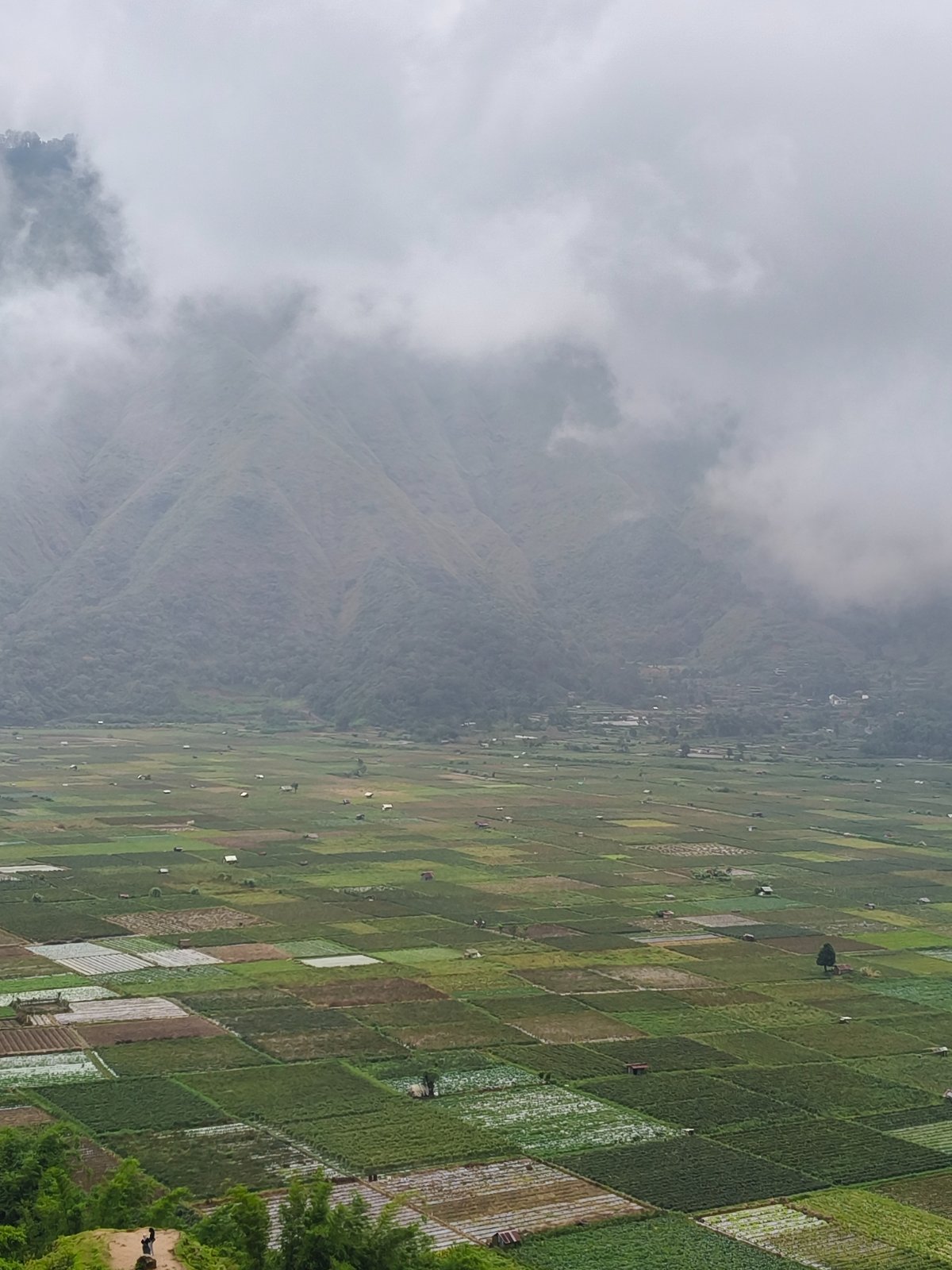 Sembalun  Rinjani