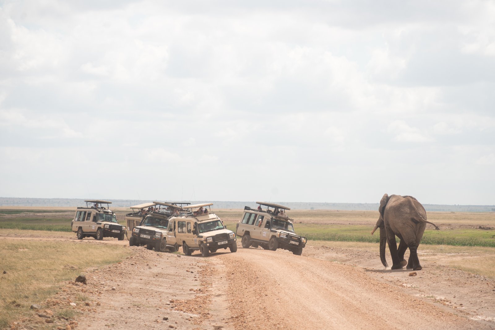3-Day Amboseli National Park Tour | Elephant Safari & Kilimanjaro Views