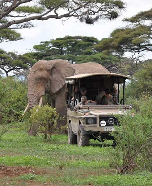 Rent a car for affordable 4×4 self-drive road trips in East and Southern Africa.