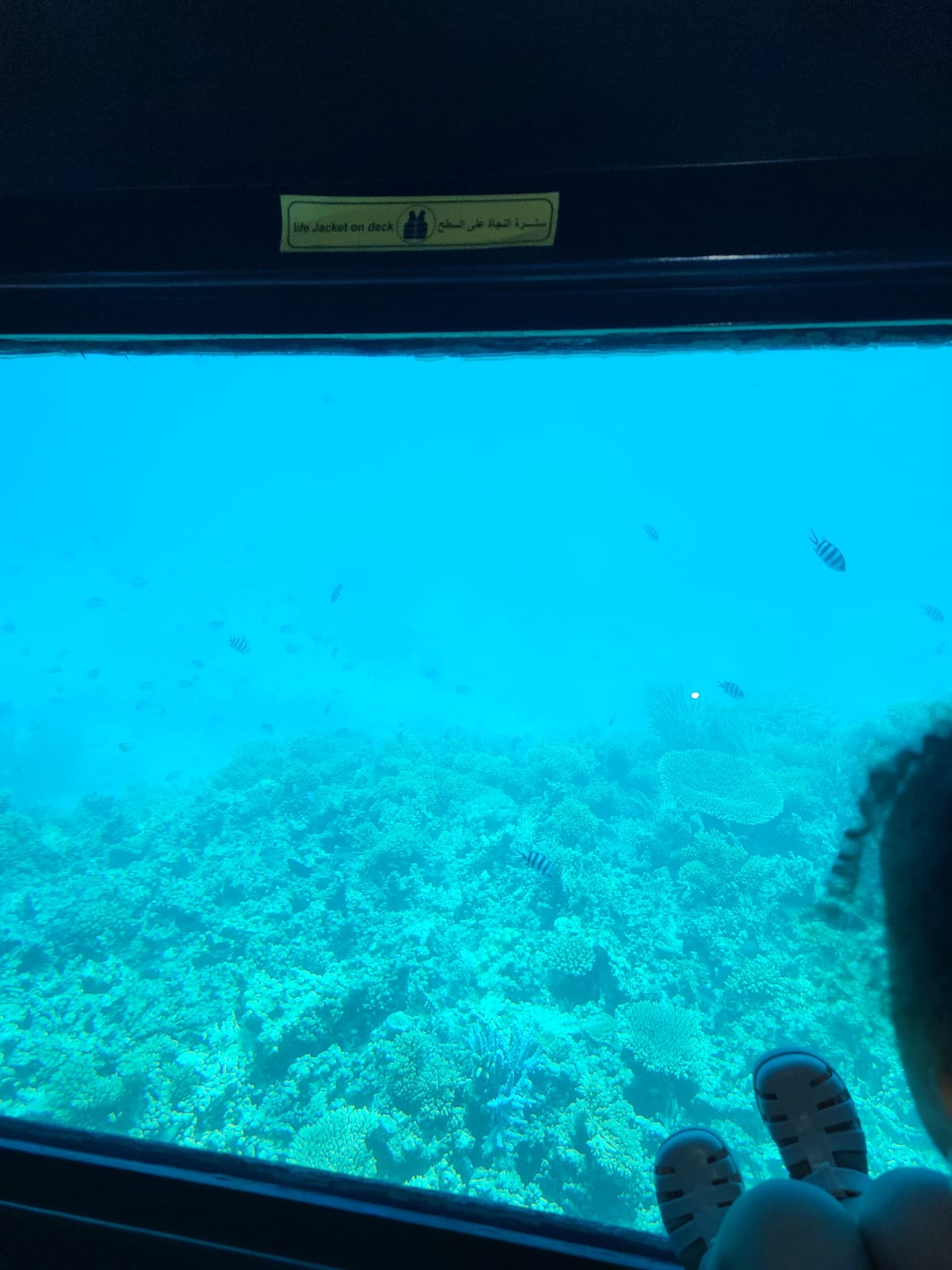 Seascope