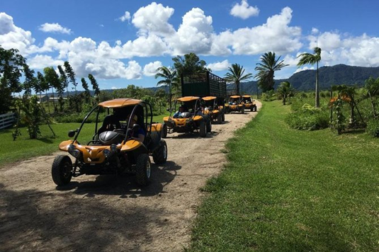 Dirt Buggy Tours