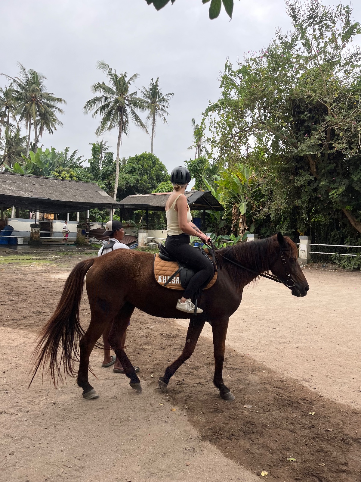 Horse Riding