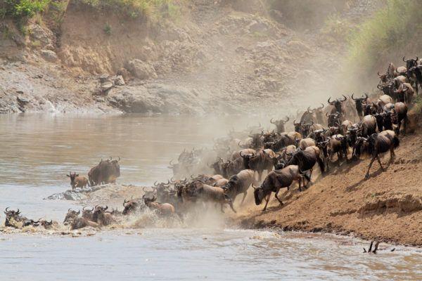 11 Days Kenya Classic Safari