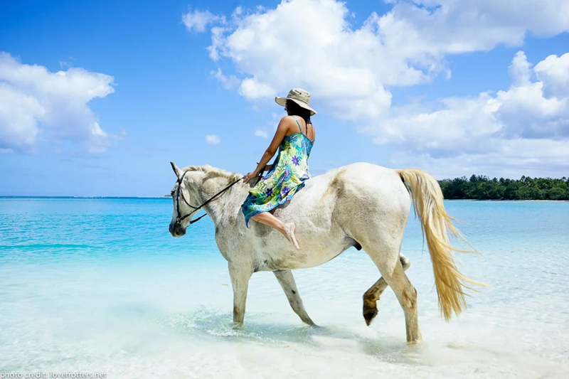 Horseriding Tours