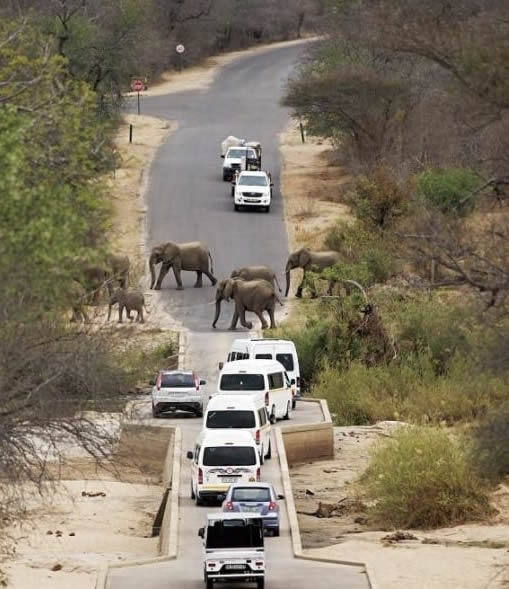 Overland safaris Africa
