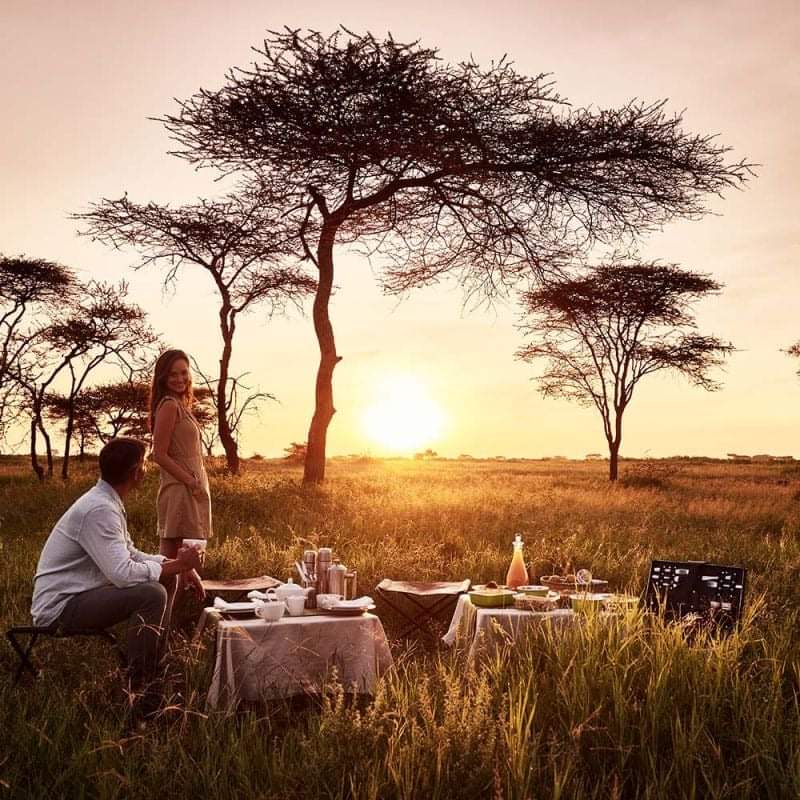 10 Days Kenya Unique Safari