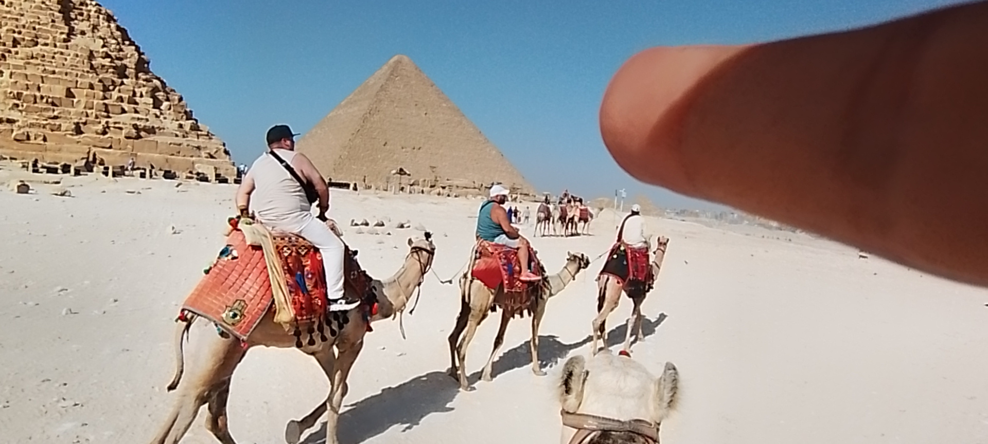 استمتع ب ركوب الجمال داخل منطقه الاهرامات كمحلي